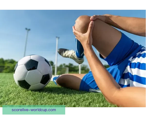 深度解析世界杯足球竞猜投注技巧与赛前数据趋势全面指南 深度解析世界杯足球竞猜投注技巧与赛前数据趋势全面指南