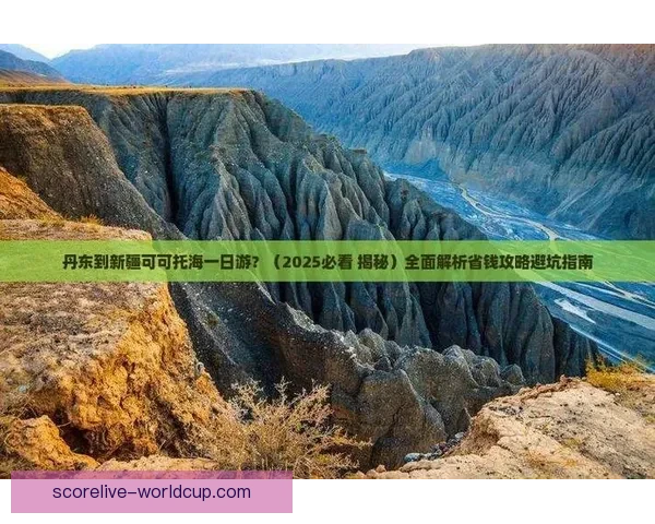 世界杯竞猜游戏全新玩法规则详解与参与攻略全面指南 世界杯竞猜游戏全新玩法规则详解与参与攻略全面指南