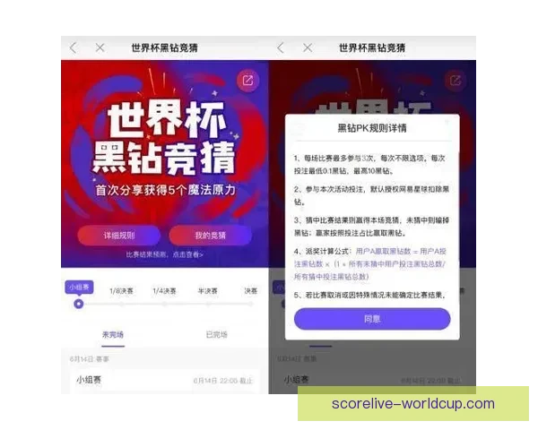 世界杯竞猜APP全新体验探索如何提升用户参与感与预测准确性